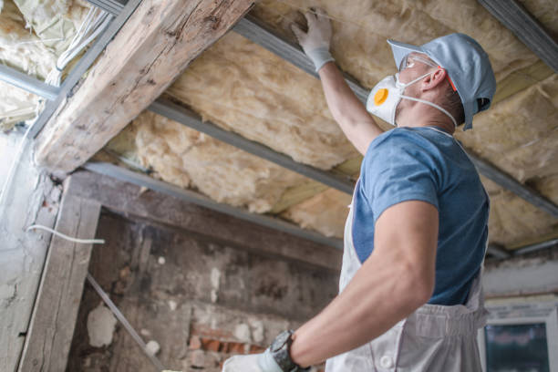 Insulation Inspection Services in Twin Lake, MI