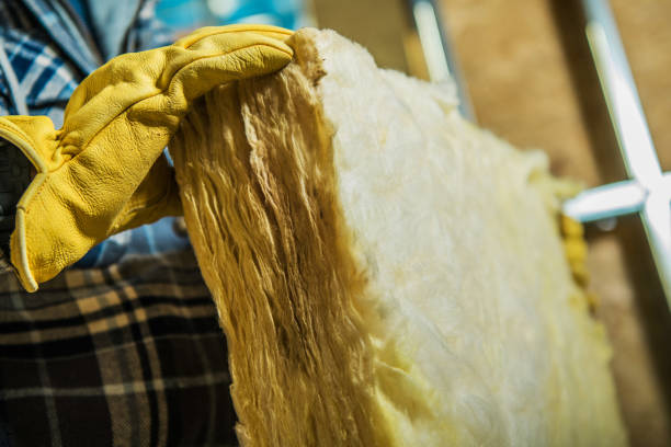 Best Insulation Inspection Services  in Twin Lake, MI