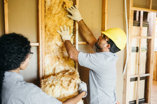 Best Crawl Space Insulation  in Twin Lake, MI