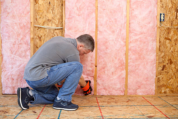 Best Blown-in Insulation  in Twin Lake, MI